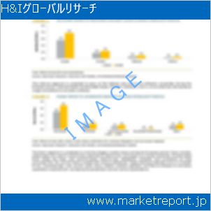 市場と産業調査レポートのイメージ
